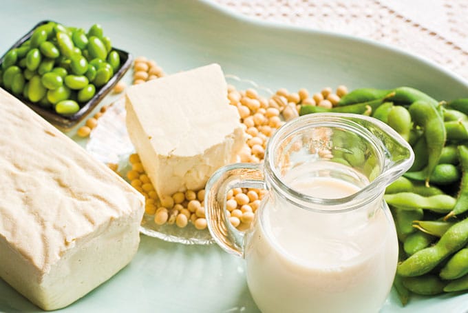 Créez une unité de production de lait de soja et de tofu