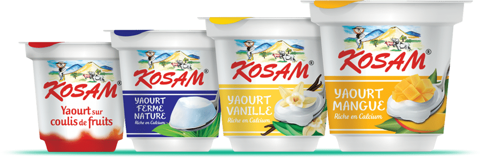  Usine de yaourts au Mali