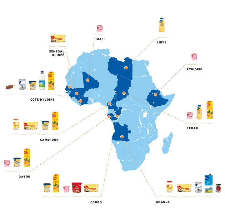 réalisation usines afrique